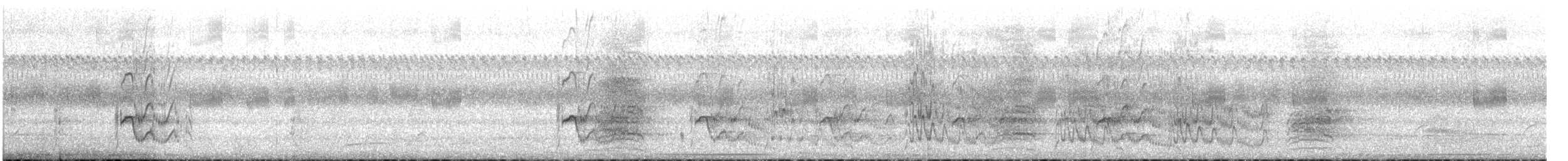 オオハシタイランチョウ - ML643590445