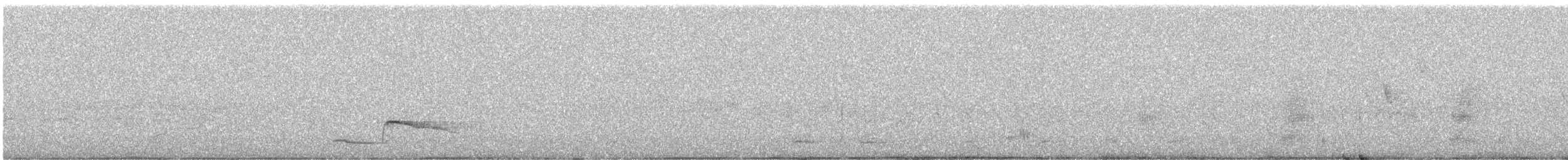 ציפור שיר בלתי-מזוהה - ML643590701