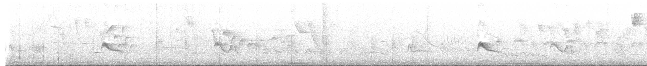 Euler's Flycatcher - ML643590872