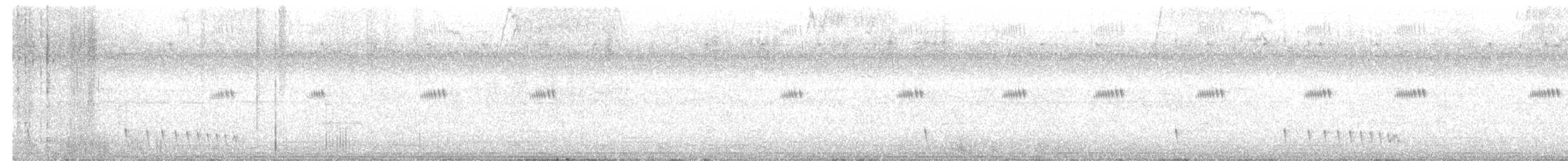 Hint Çobanaldatanı - ML643591931