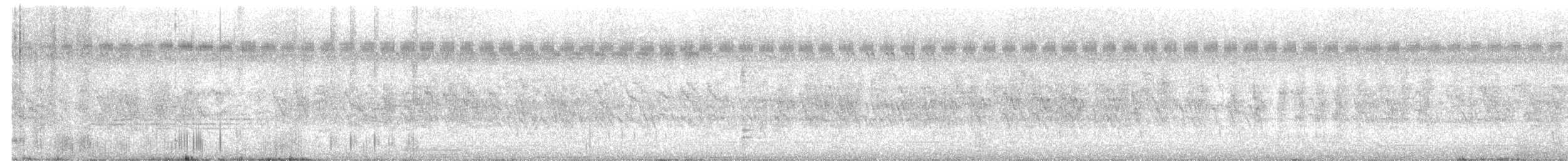 Hint Çobanaldatanı - ML643592004