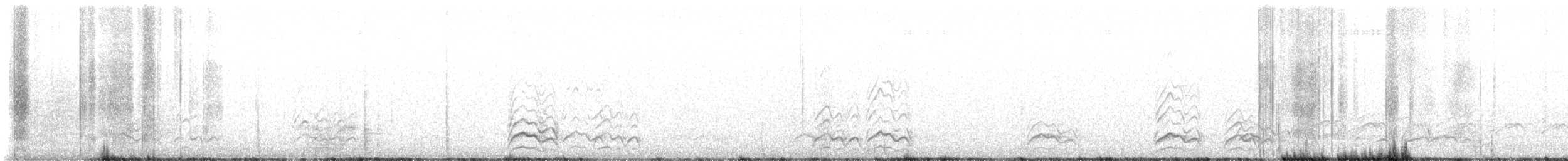 Pinyon Jay - ML643593368