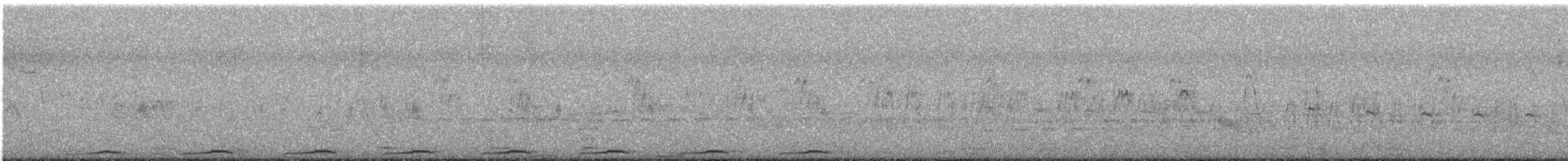 holoubek pikui - ML643593670