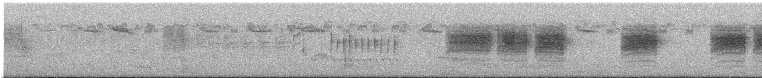 Bewick's Wren - ML643593742