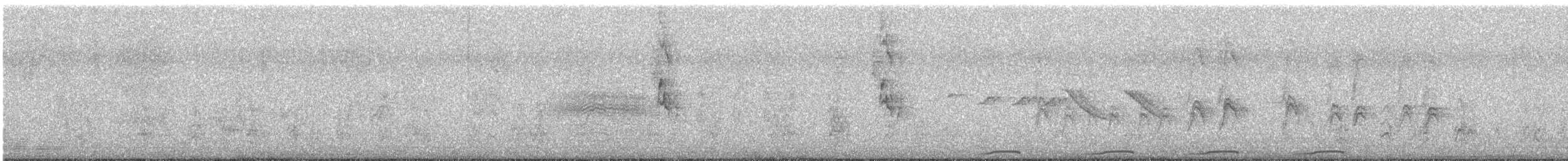 holoubek pikui - ML643594036