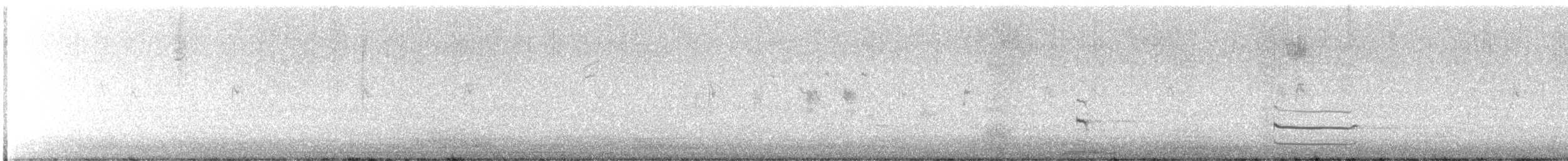 カオグロクイナ - ML643594411