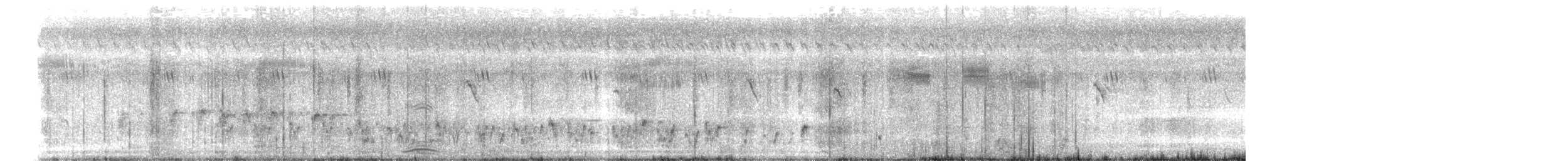 マミジロヒヨドリ - ML643594545