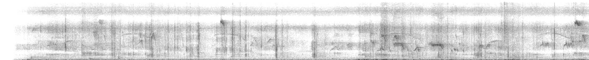 Drongo bronzé - ML643594603
