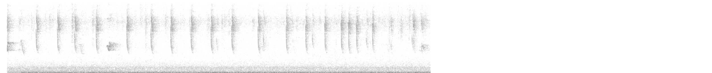 Broad-tailed Hummingbird - ML643594764
