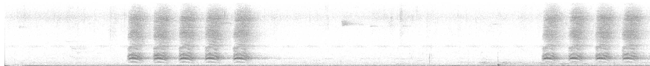 Swainson's Thrush - ML643595245