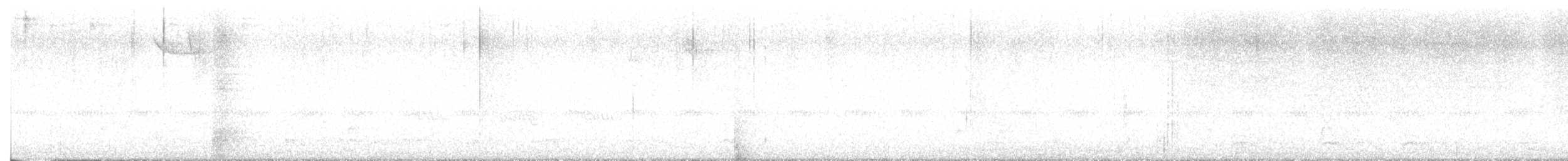 Swainson's Thrush - ML643595246