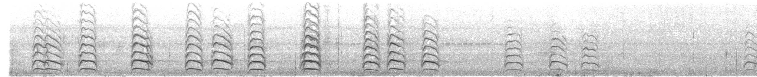 オオハシアジサシ - ML643595743