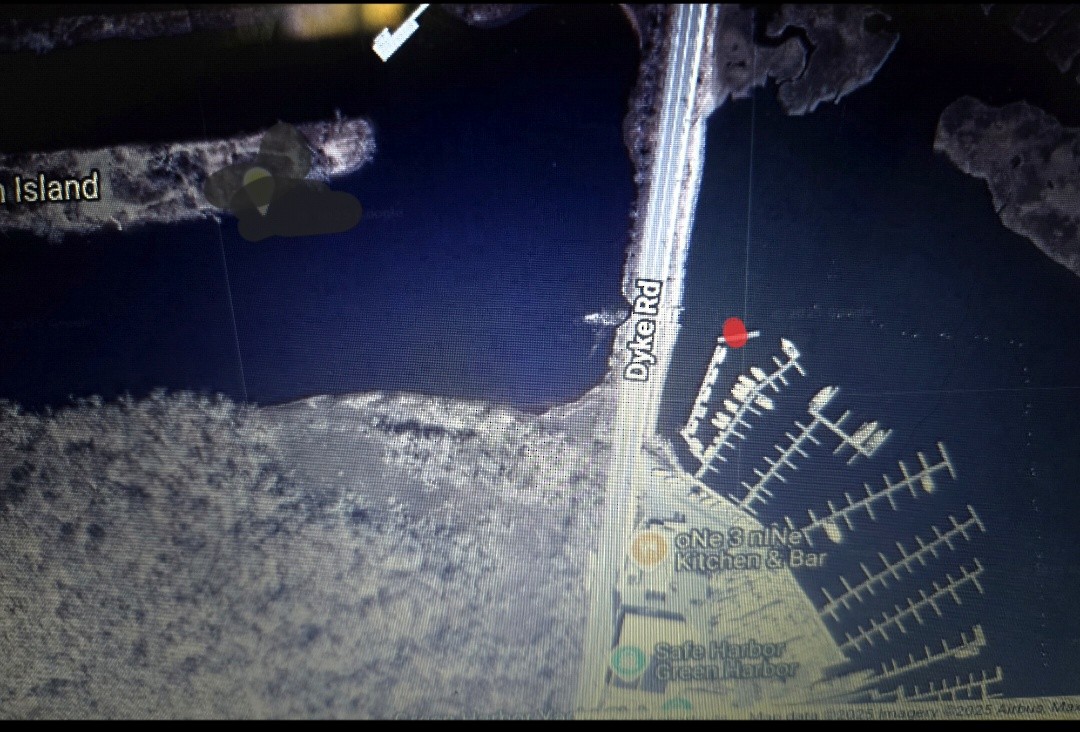 Roseate Spoonbill - ML643595954