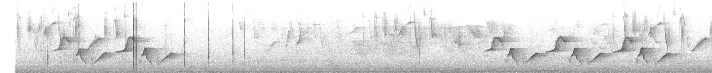 クリムネマユミソサザイ - ML643598098