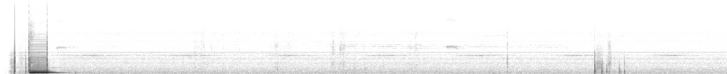 Microtyran à queue courte - ML643598509