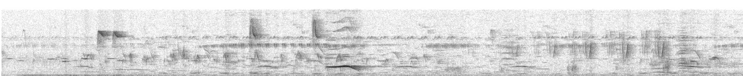 オニカッコウ - ML643598687