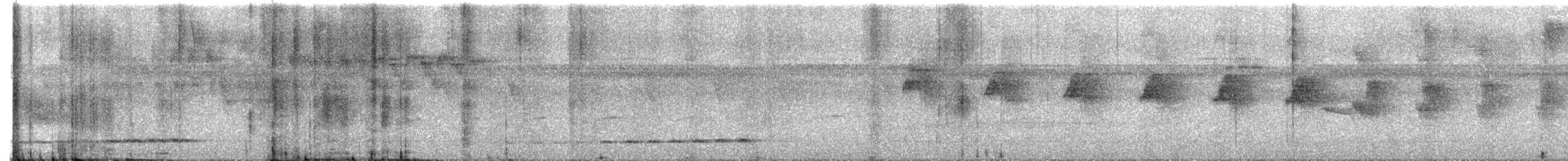 Thicket Antpitta - ML643598934