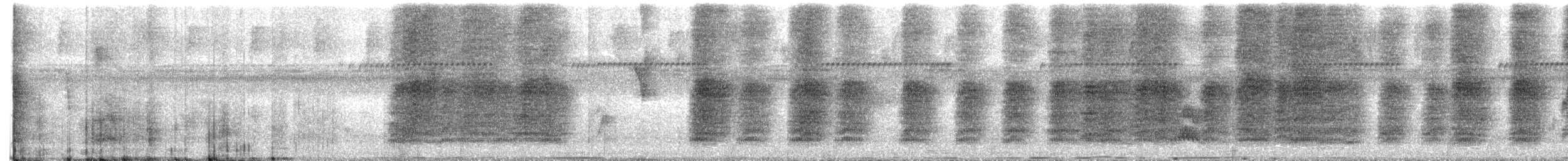 Bay Wren - ML643598944