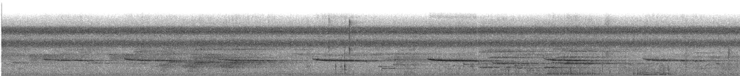 Smaragdan oreillard - ML643599119