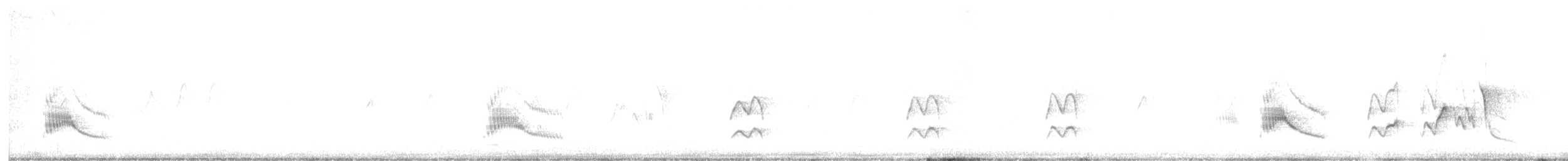 Couch's Kingbird - ML643599452