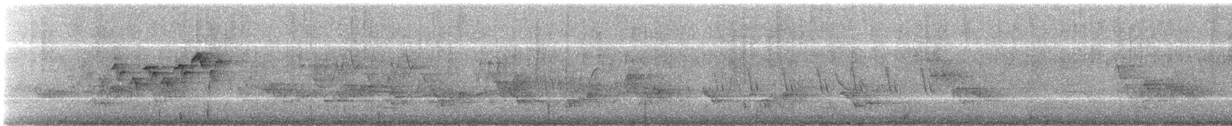 シロオビアメリカムシクイ - ML643599504