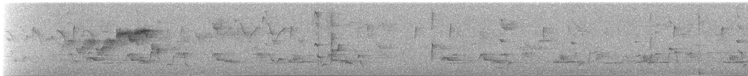 stryparula - ML643599769