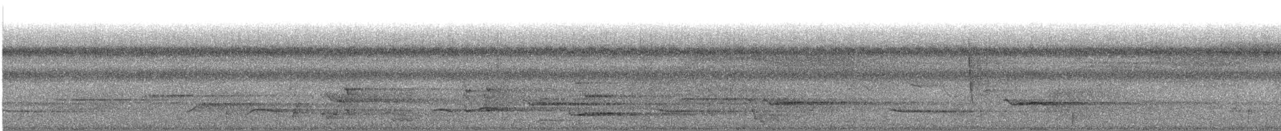Oriole noir et or - ML643600007