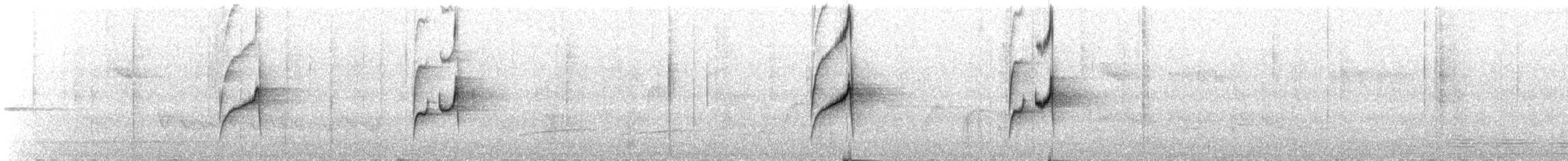 Gray-bellied Spinetail - ML643600024