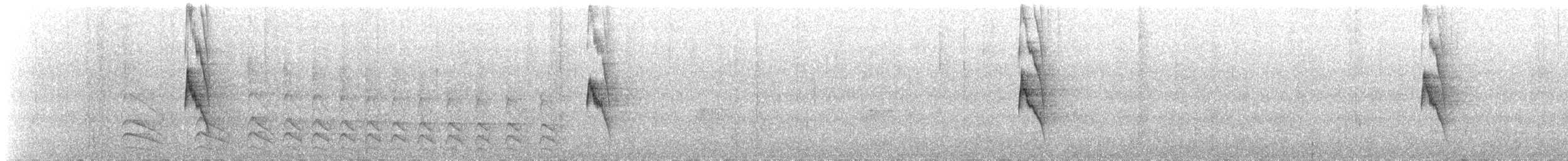 Gray-bellied Spinetail - ML643600031