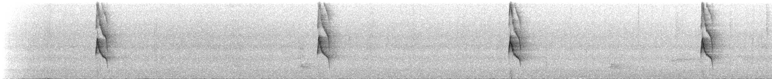 Gray-bellied Spinetail - ML643600055