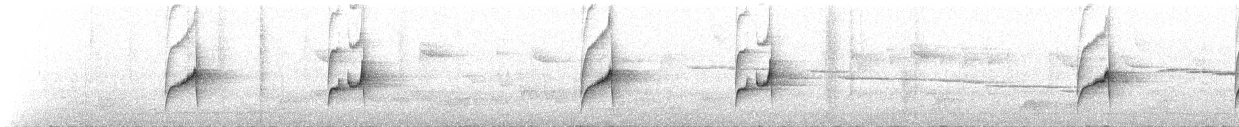 Gray-bellied Spinetail - ML643600065