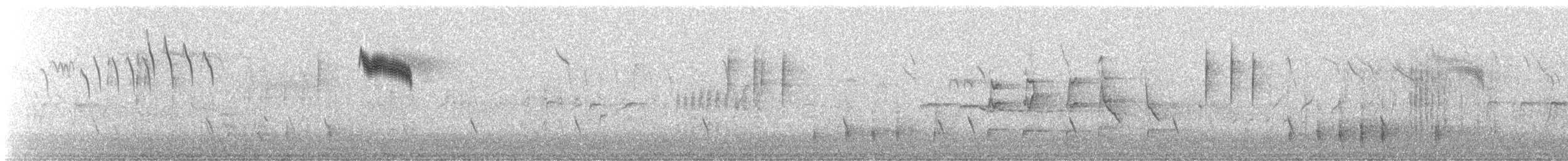 Tordo sassello - ML643600715