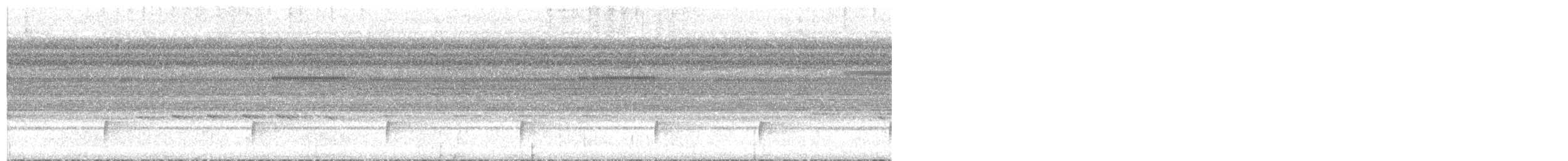 sotnattravn - ML643600847