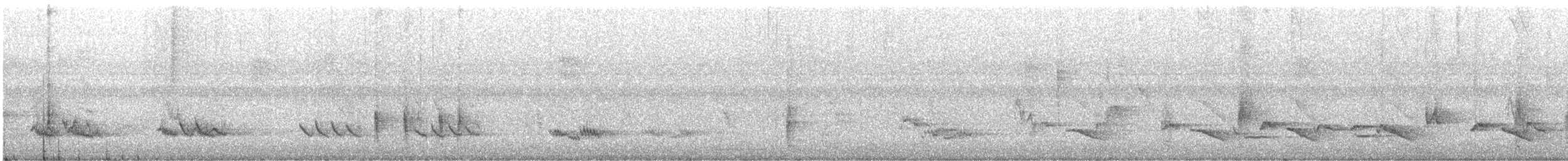 Northern Mockingbird - ML643600875