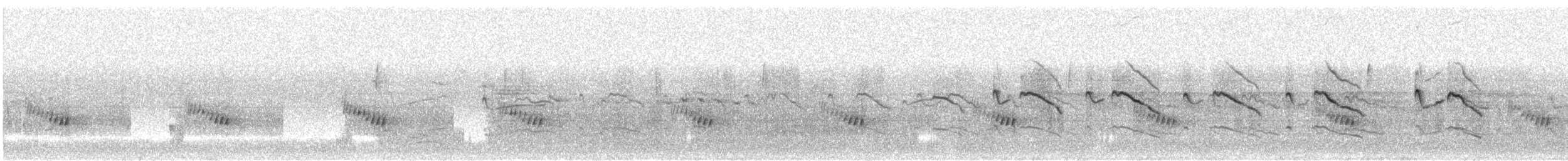 Killdeer - ML643600965