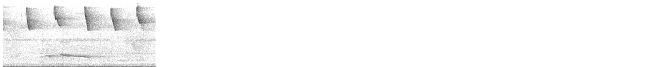 Cinnamon Attila - ML643601618