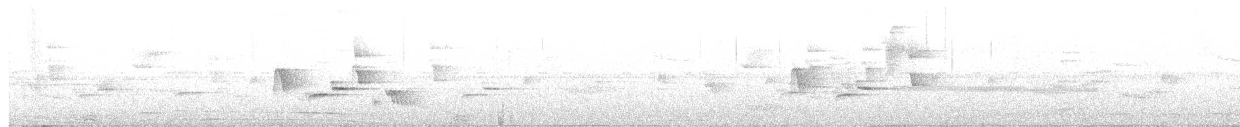 Orange-billed Nightingale-Thrush - ML643602317