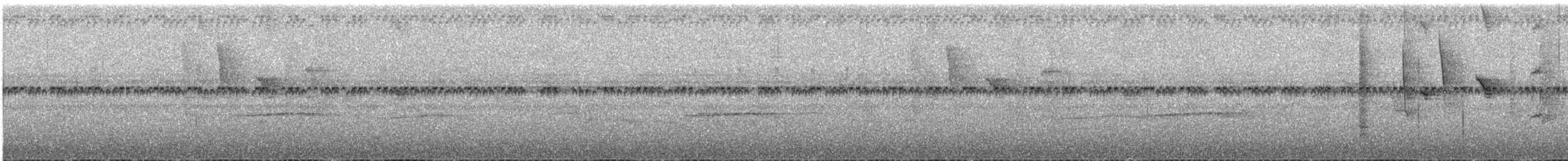 Golden-tailed Sapphire - ML643602712