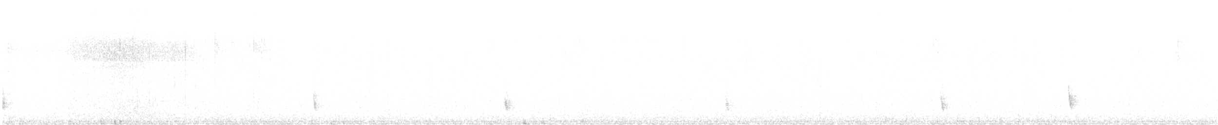 Hermit Thrush - ML643602783