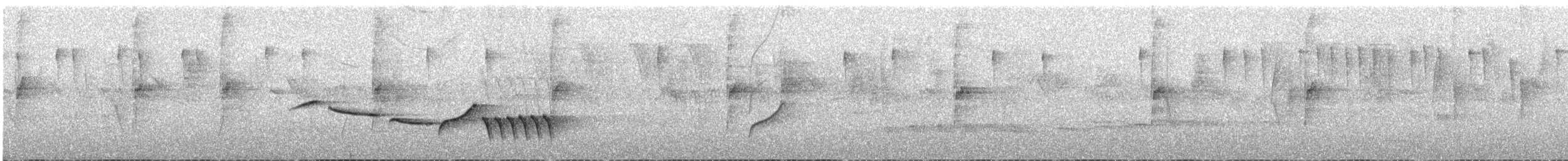 クリムネマユミソサザイ - ML643603416