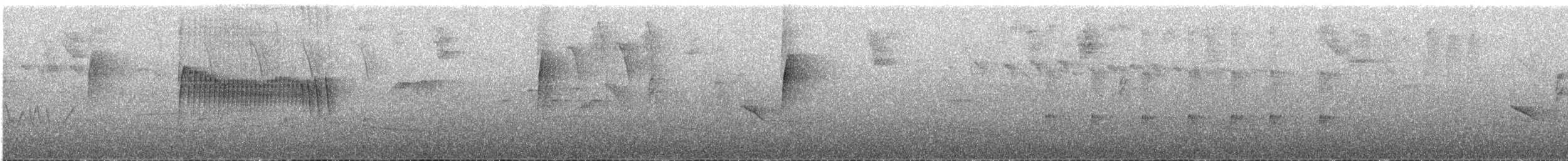 ecuadorbladdanser - ML643603429