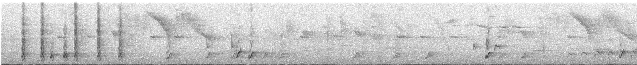 セアカオオツリスドリ - ML643603533