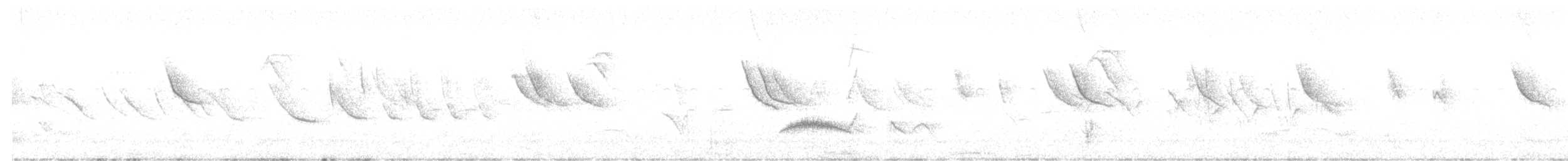 Red-winged Tinamou - ML643603878