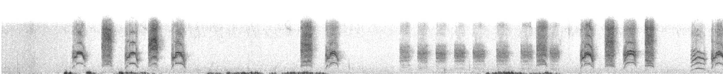 drongo africký - ML643604190