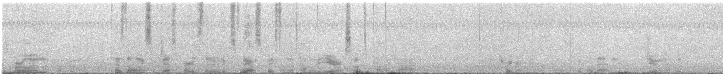 Northern Bobwhite - ML643604392