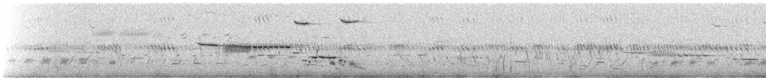 Cassin's Sparrow - ML643606259