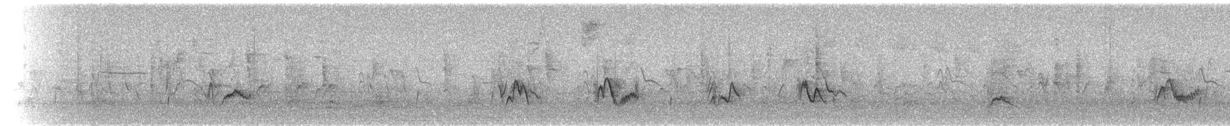 Cassin's/Plumbeous Vireo - ML643606295