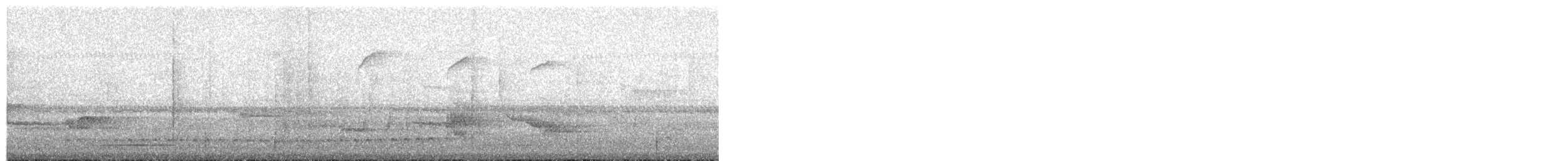Серый тиранн-плакса - ML64360671
