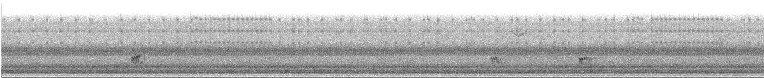 Least Sandpiper - ML643606745