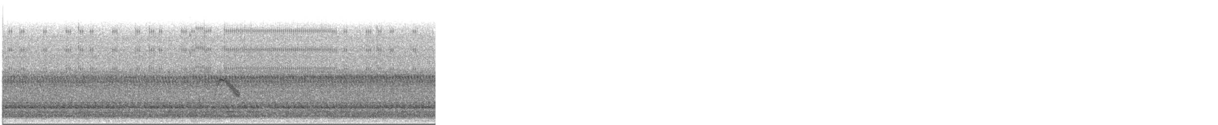 Gray-cheeked Thrush - ML643606997